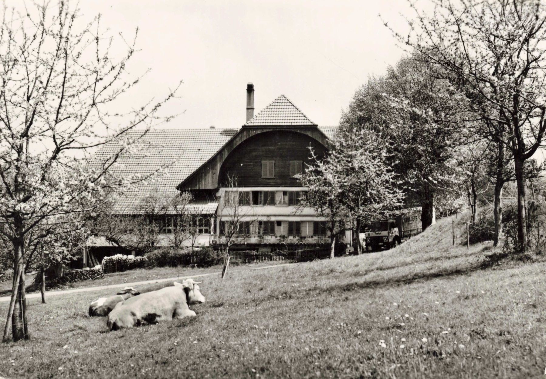 Cartoline postali: Restaurant Rössli heistrich utzigen G – Usato da Biasca venduto da Blenio71