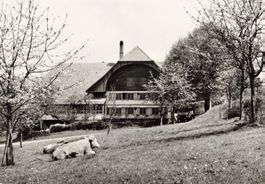 Restaurant Rössli heistrich utzigen G