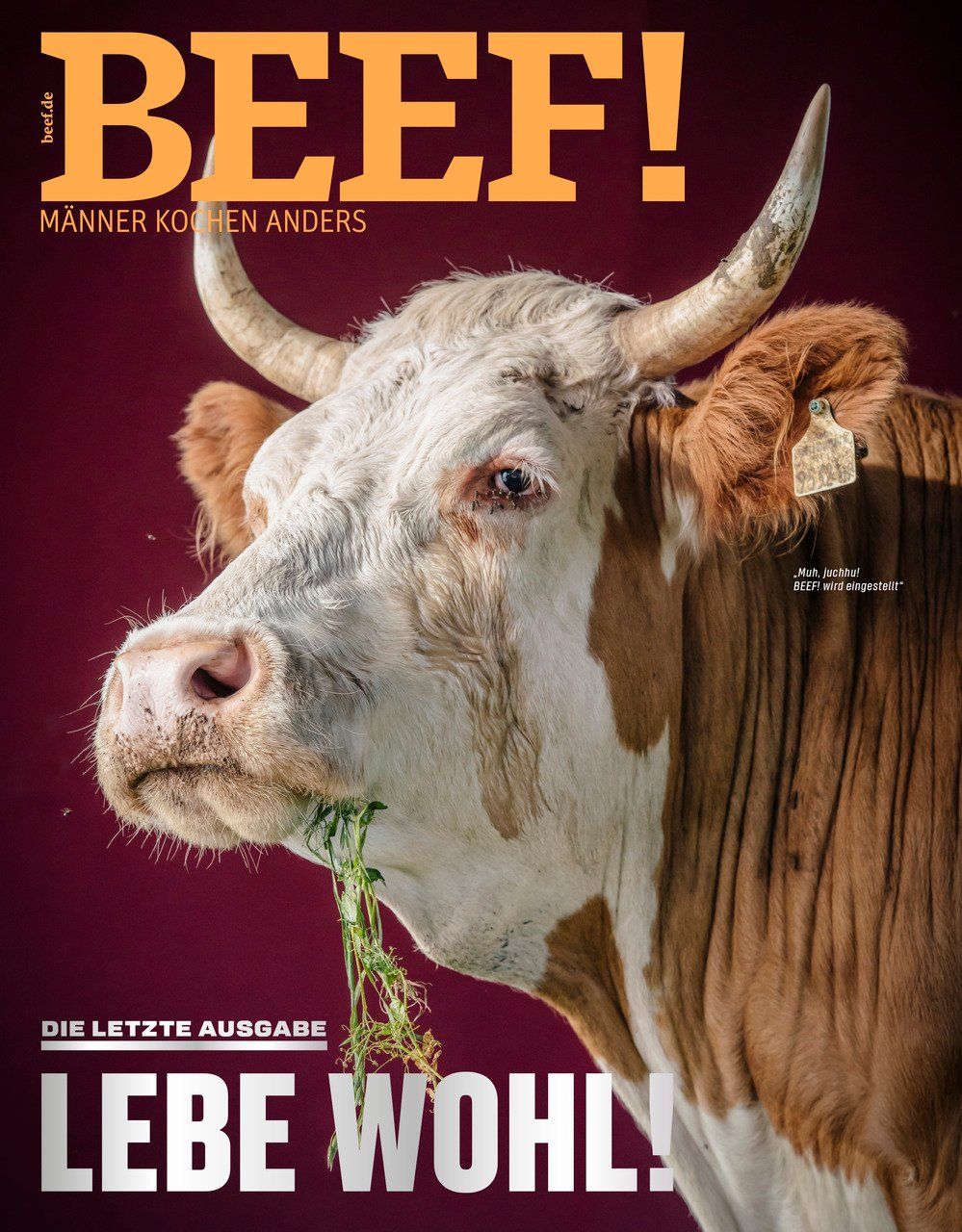 Zeitschriften & Magazine: BEEF! 5/2023 letzte Ausgabe – Gebraucht aus Hinterkappelen von 5CH