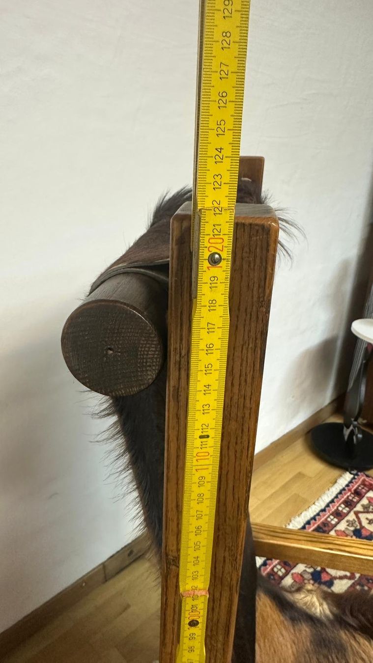 Sedie: Designer Stuhl Vintage – Usato da Schlieren venduto da Norauro 9