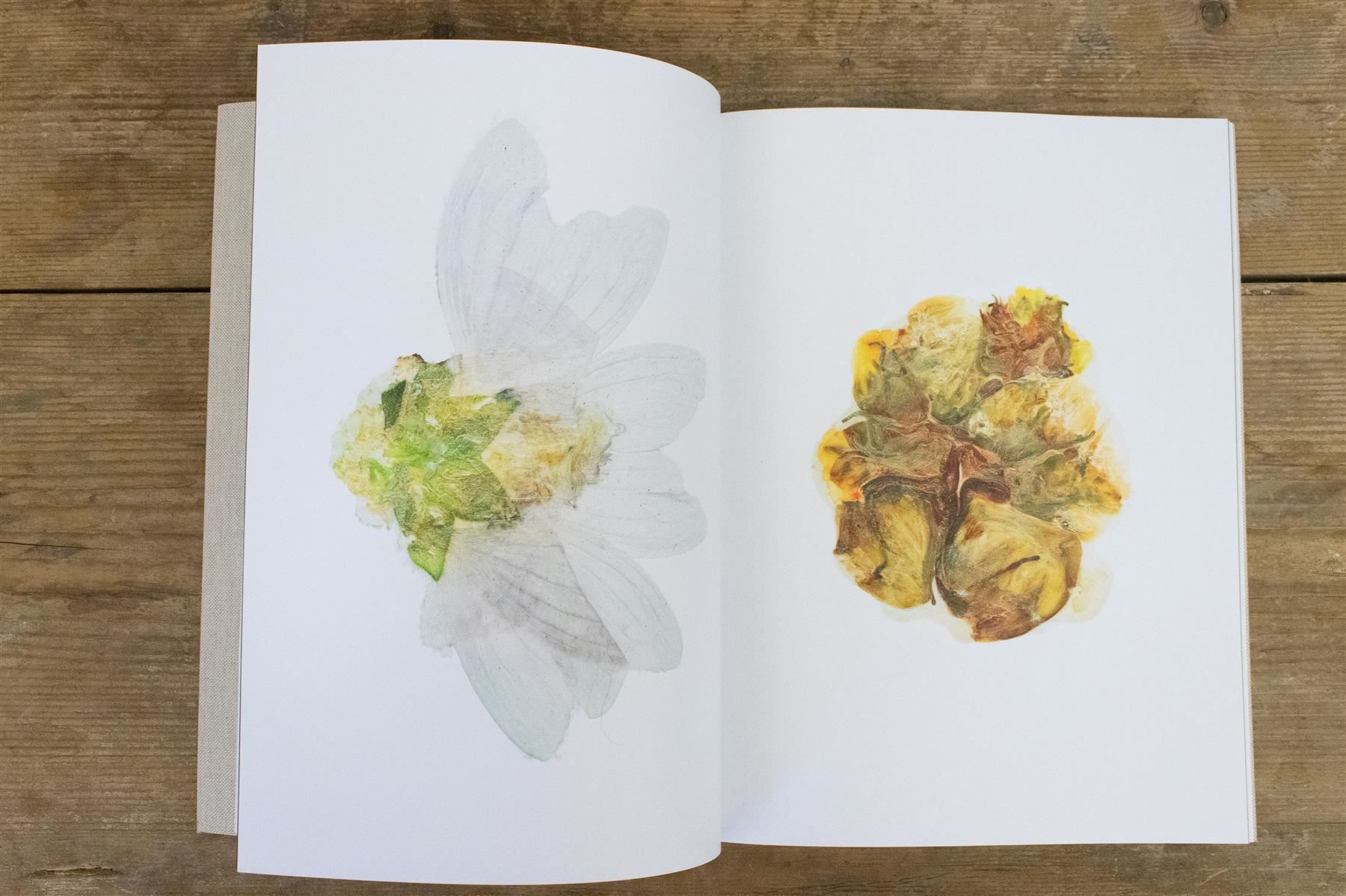 Libri: Lorenz Olivier Schmid "Anthologie Bd. 1" – Usato da Zürich venduto da ZuercherBrockenhaus 3