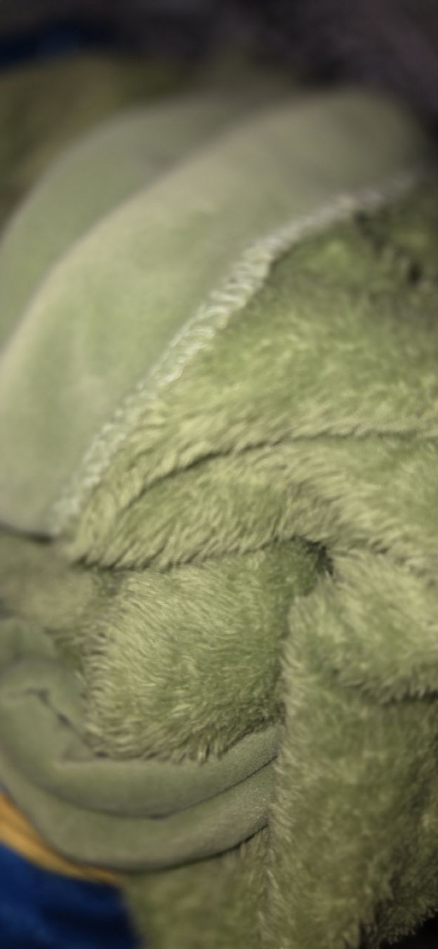 Coperte: Flauschige Kuscheldecke grün 150x200cm – Usato da Lyss venduto da Urma5 1
