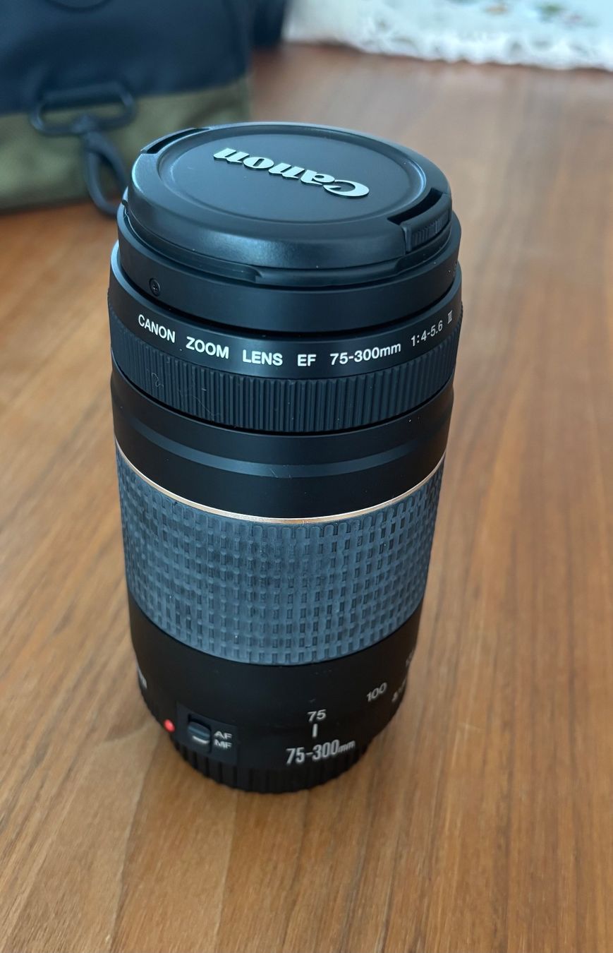 Canon Kamera: Canon EOS 1100D Spiegelreflexkamera – Gebraucht aus Frauenfeld von Sementissa 6