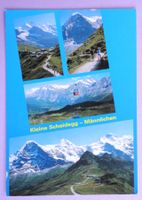 Kleine Scheidegg - Männlichen