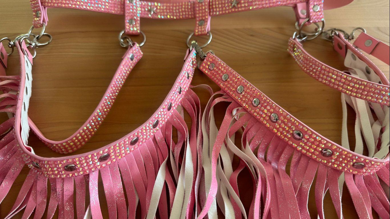 Kostüme: Pinkes Harnischen Set mit Strass un Glitzerfransen – Gebraucht aus Goldau von rkl86 3