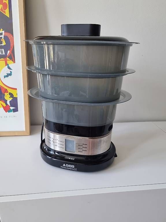 Elettrodomestici da cucina: Dampfgarer von SEB – Usato da Basel venduto da inf_fym8