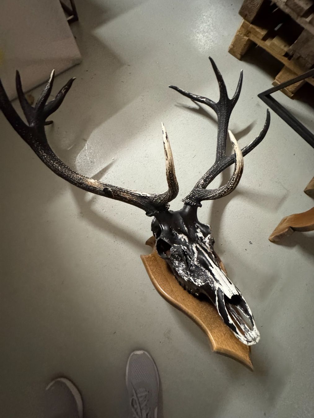 Statuette: Euro Wall Hanger for Deer Head – Usato da Gsteig b. Gstaad venduto da Auctionly 3