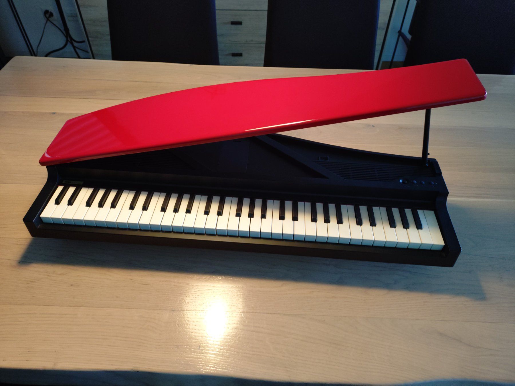 Korg Strumenti musicali: Korg MicroPiano – Usato da Aegerten venduto da vou_89zl