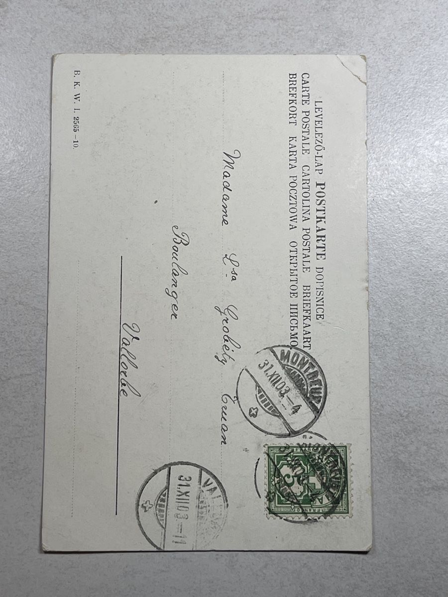 Cartoline postali: alte Ansichtskarte, Schwein auf Sack, Bonne année – Usato da Strengelbach venduto da Aschatan5 1