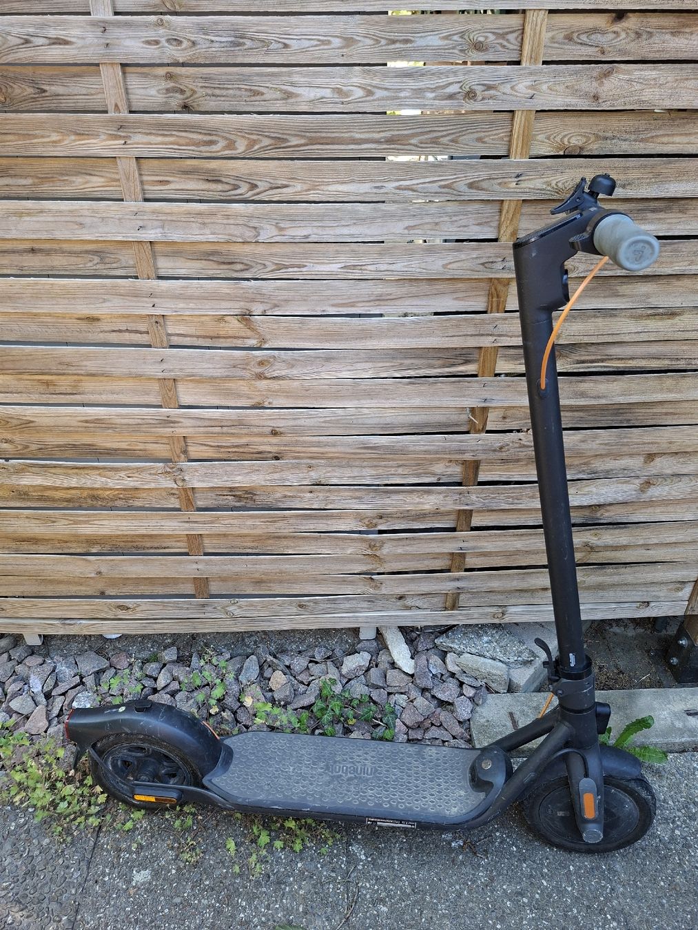 Segway Kickboard: Segway Ninebot F30d – Gebraucht aus basel von baselinseli
