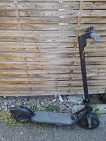 Segway Ninebot F30d