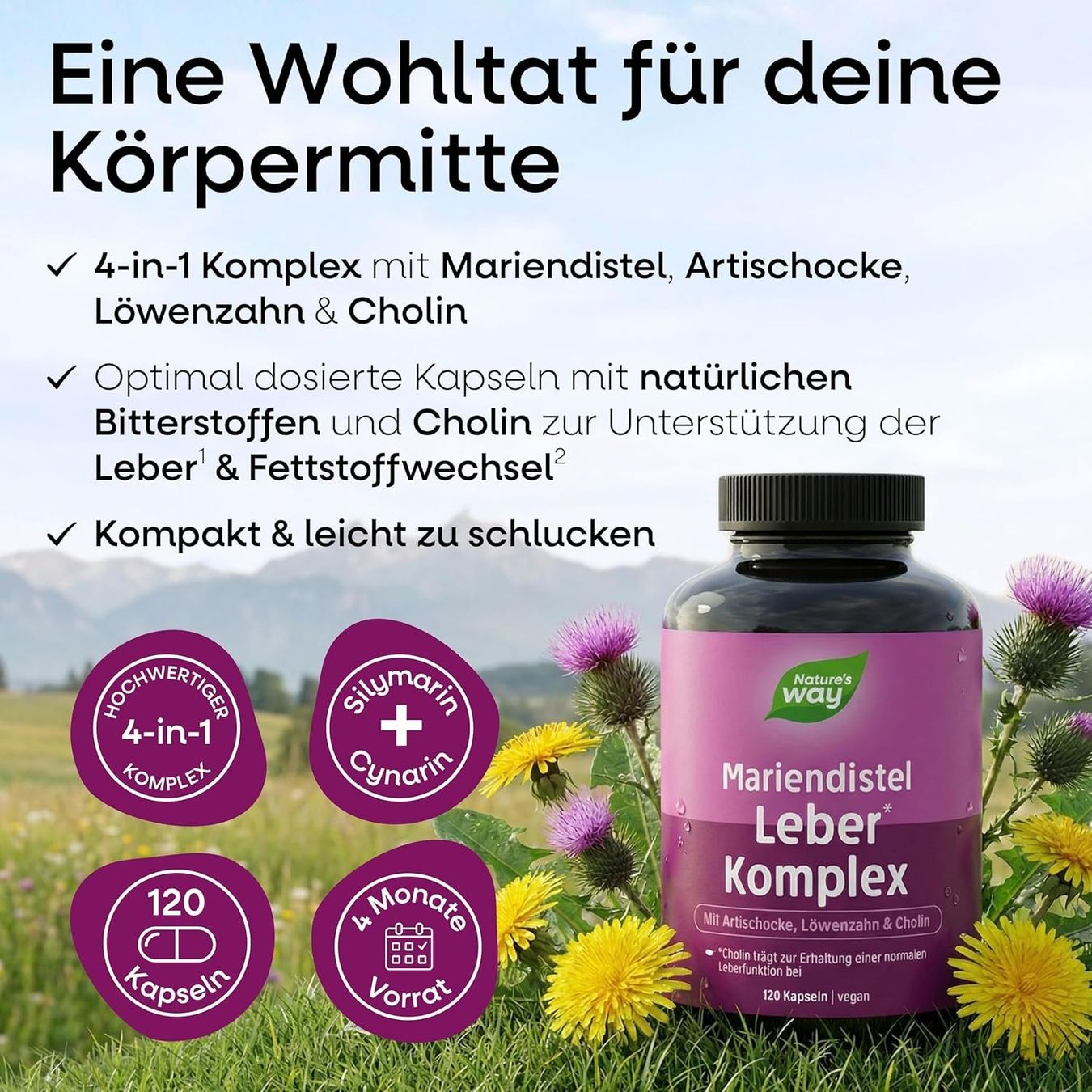 Cibi & Specialità: Mariendistel Leber Komplex 120 Kapseln – Nuovo e nell'imballaggio originale da Suhr venduto da SchnapperCH 1