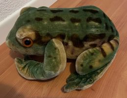 Laubfrosch gross