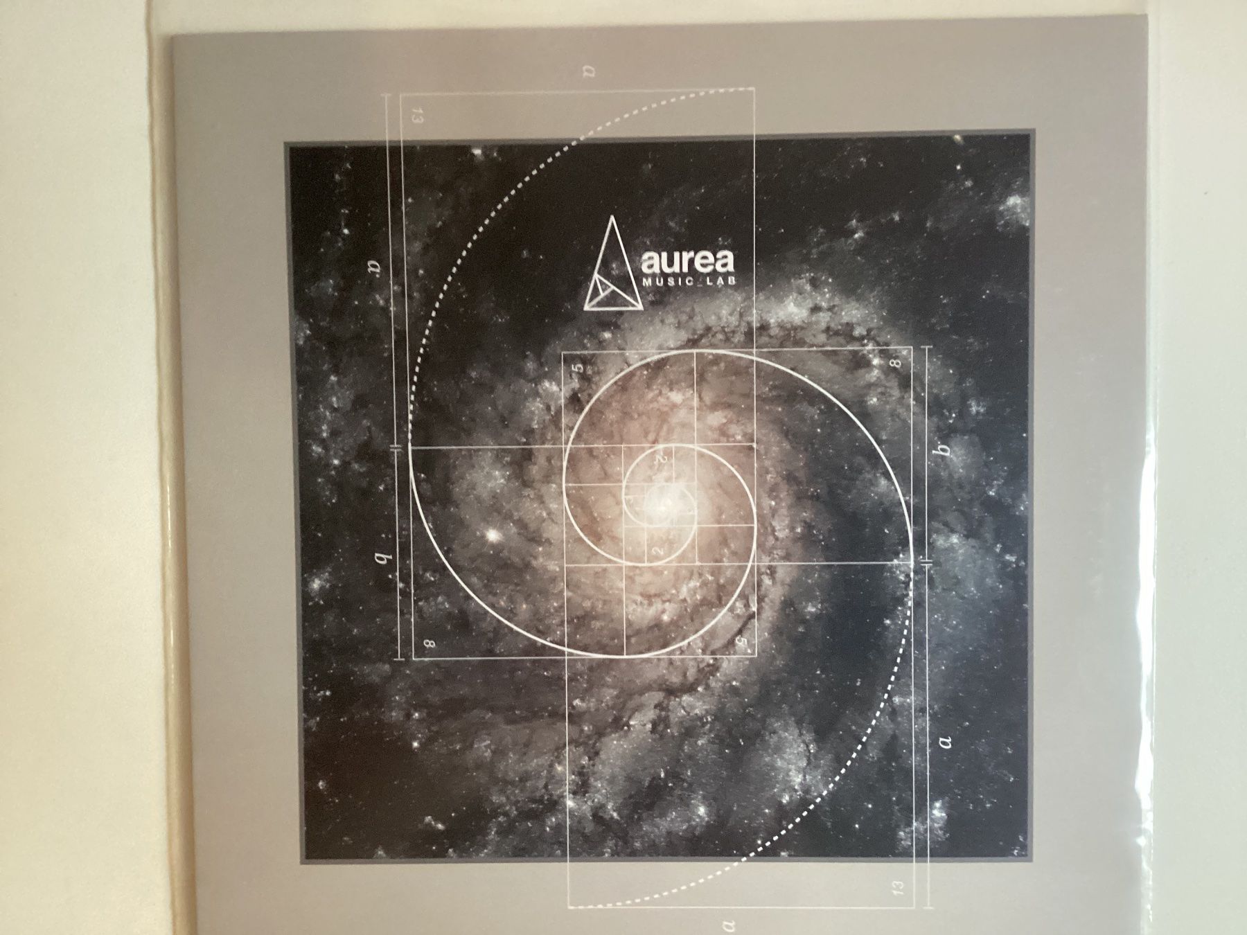 Dischi in vinile: Federico Molinari Maxi-Single - Aurea – Usato da Gutenswil venduto da Hamzian