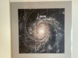 Federico Molinari Maxi-Single - Aurea