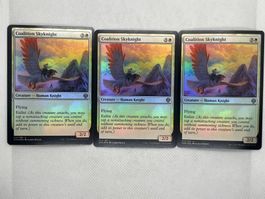 MTG Dominaria United: 3x Coalition Skyknight Foil