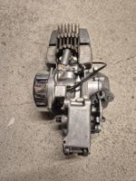 Puch Maxi   Motor kein Sachs Belmondo Ciao 