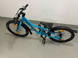 Naloo Chameleon 20''