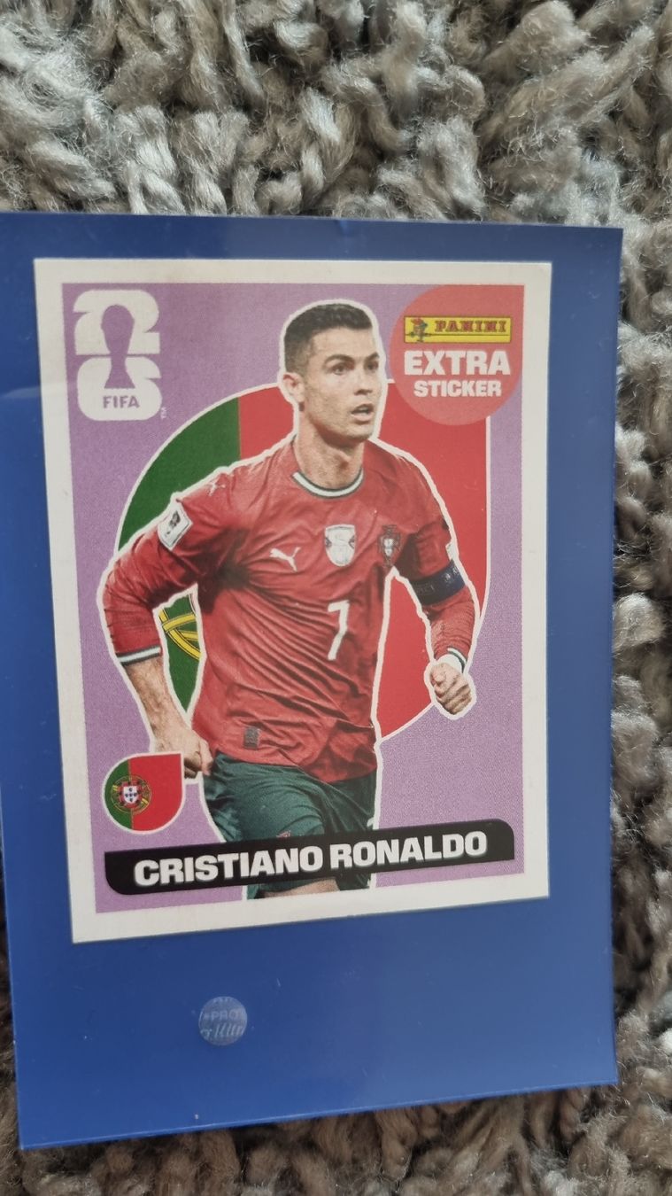 Panini Cartes à collectionner: WM Panini – D'occasion à Lausen par pga_6xwg 2
