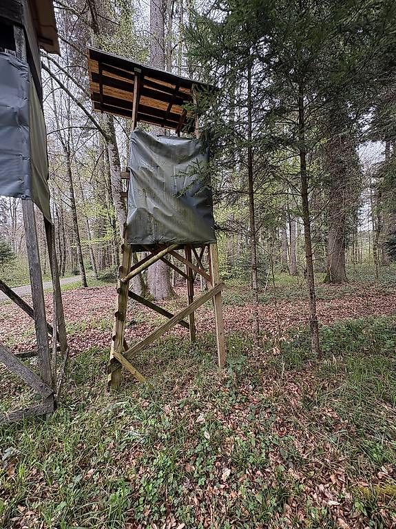 Articoli in legno: Jagdkanzel für Ansitz – Usato da Rickenbach ZH venduto da Pumba_500 2