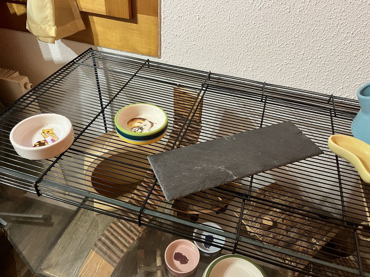 Käfige, Transport & Sicherheit: Kleintier-/Hamsterkäfig – Neu (gemäss Beschreibung) aus Adelboden von Andreasb2 4