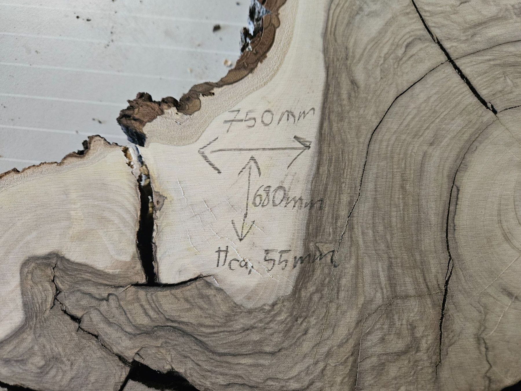 Holzartikel: Nussbaum Holz Baumscheibe – Neu (gemäss Beschreibung) aus Schangnau von egli6.2 1