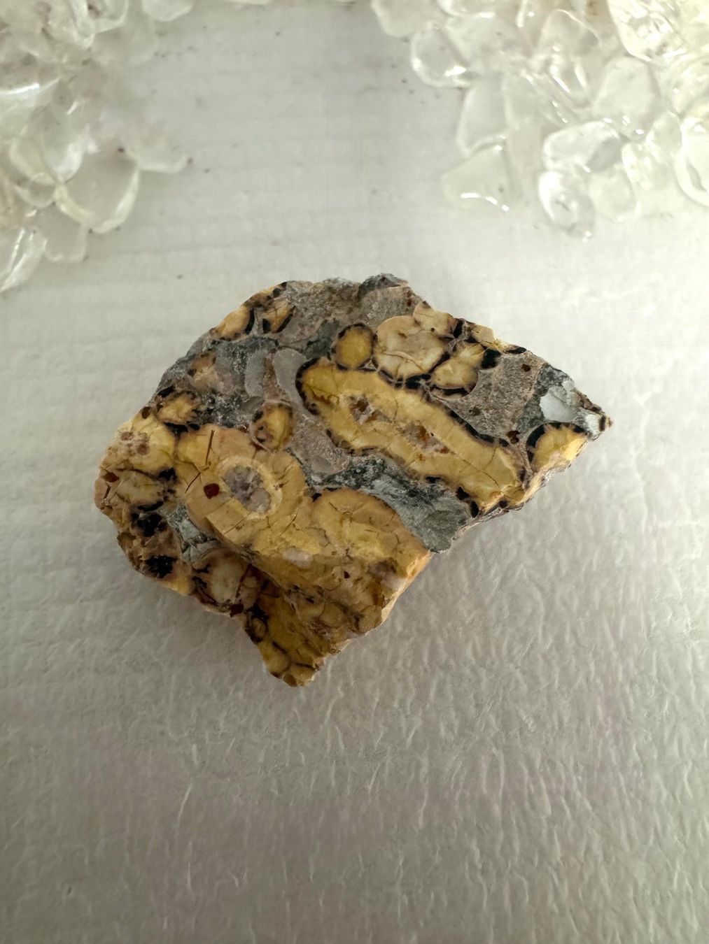 Minerali & Pietre curative: Leoparden-Jaspis roh – Nuovo (secondo la descrizione) da Biberist venduto da Steine