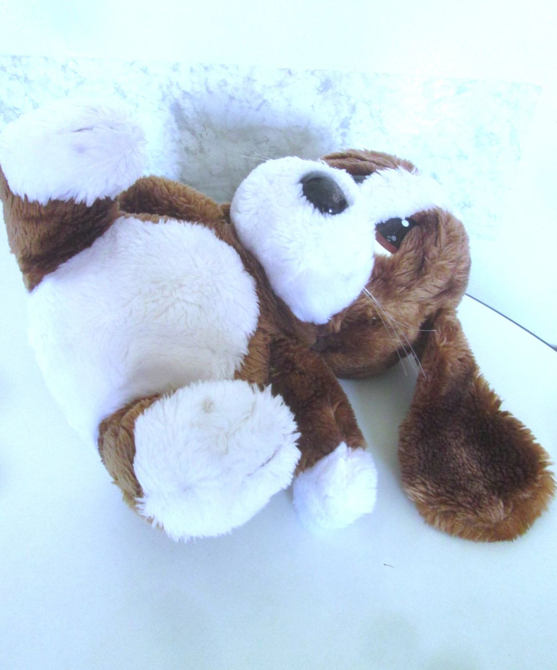 Jouets: Plüschhund – D'occasion à Sementina par babucia 2