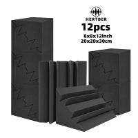 12 Stück Schwarze Bassfalle Panele 20 x 20 x 30 cm Hochdicht