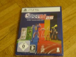 Sociable Soccer 25 - PlayStation 5 - NEUWARE
