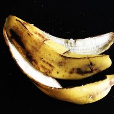 Profile image of bananenschale