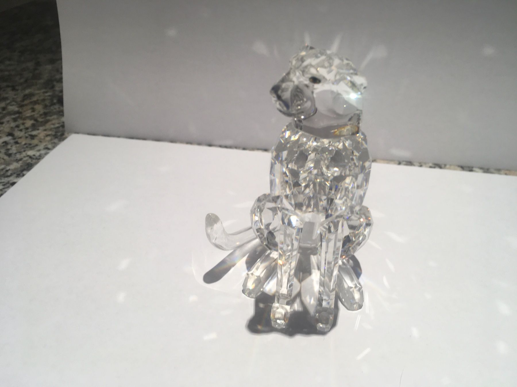 Swarovski Statuette: Swarovski Leopard – Nuovo (secondo la descrizione) da Oberglatt ZH venduto da Multimix 4