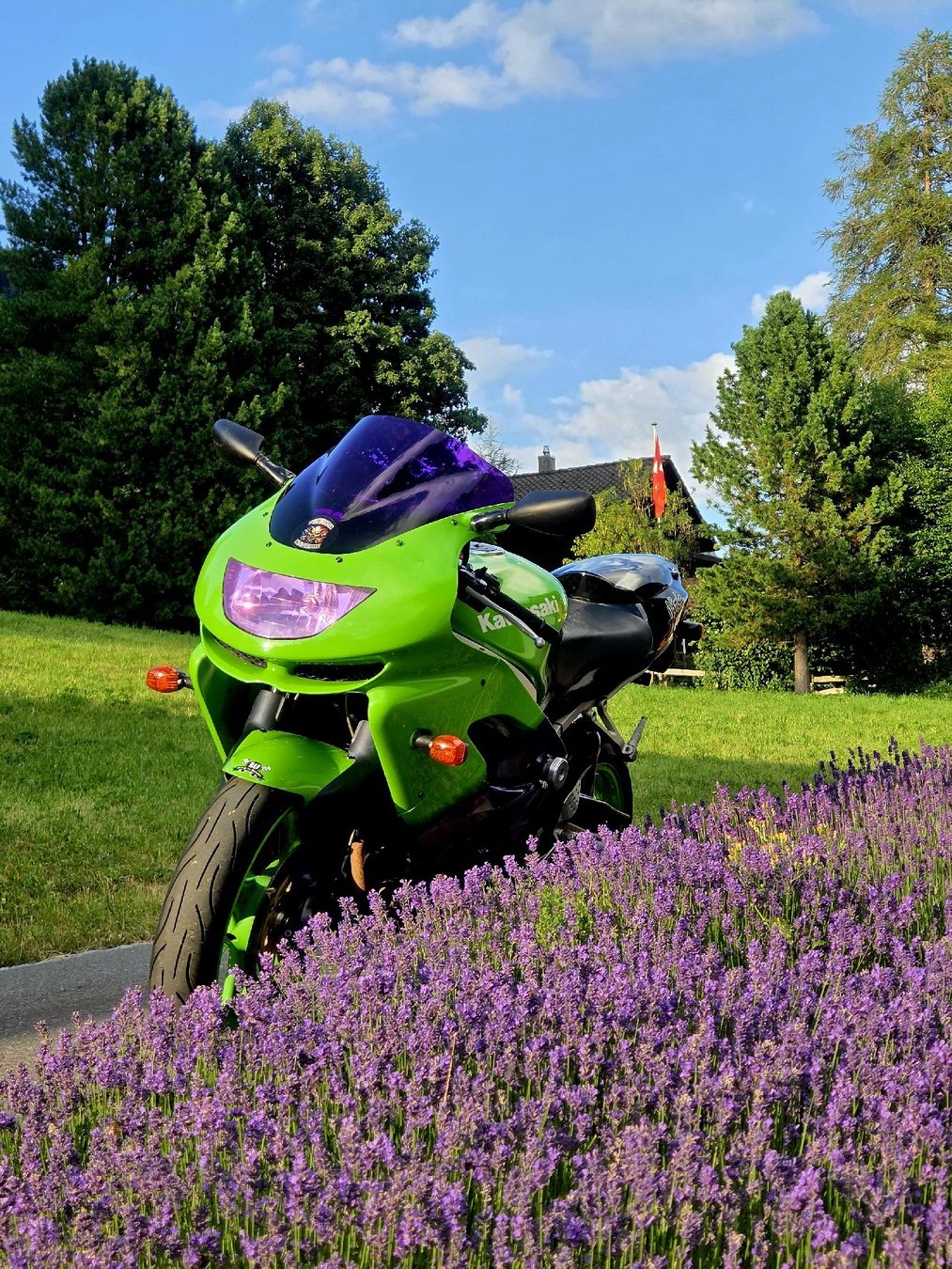 Kawasaki Strada: Kawasaki Ninja zx9r – Usato da Rougemont venduto da victor.wnk