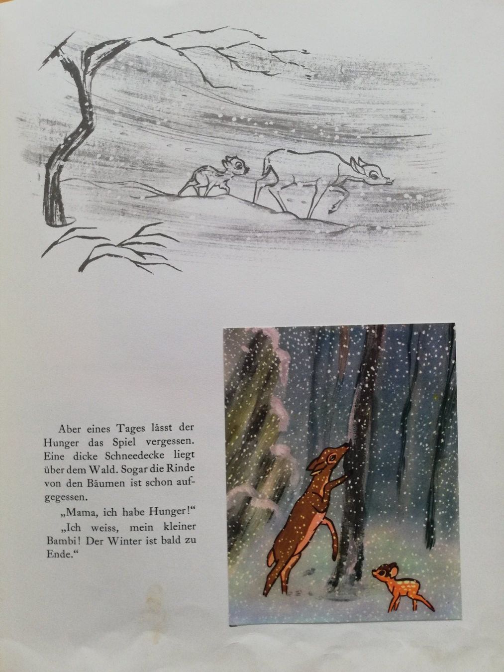 Libri: Aschenbrödel - Bambi – Usato da Hildisrieden venduto da Malve 2