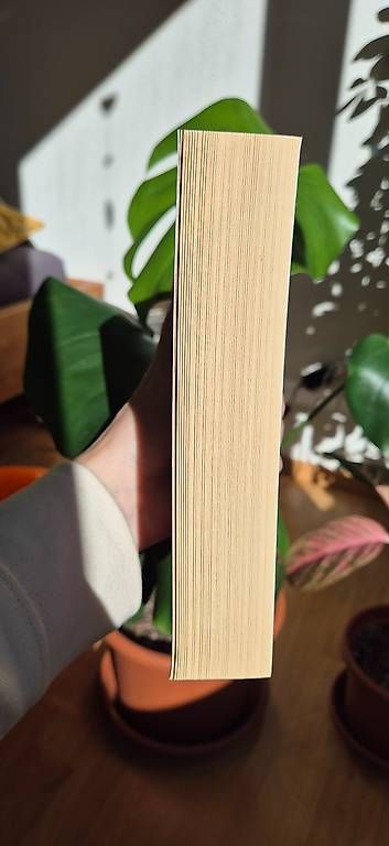 Libri: Nicholas Sparks  Mein Weg zu dir – Usato da Bern venduto da smichi 1