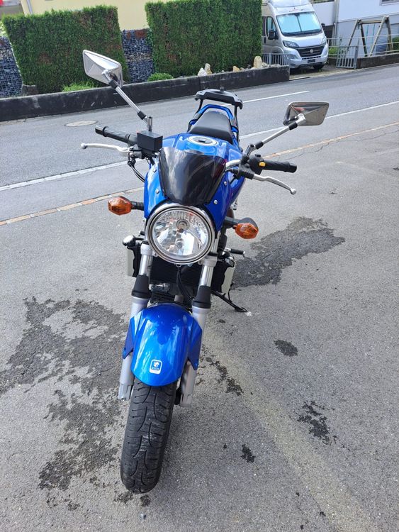 Suzuki Strada: Suzuki SV 650 – Usato da Wangs venduto da zweirad-pizol 1
