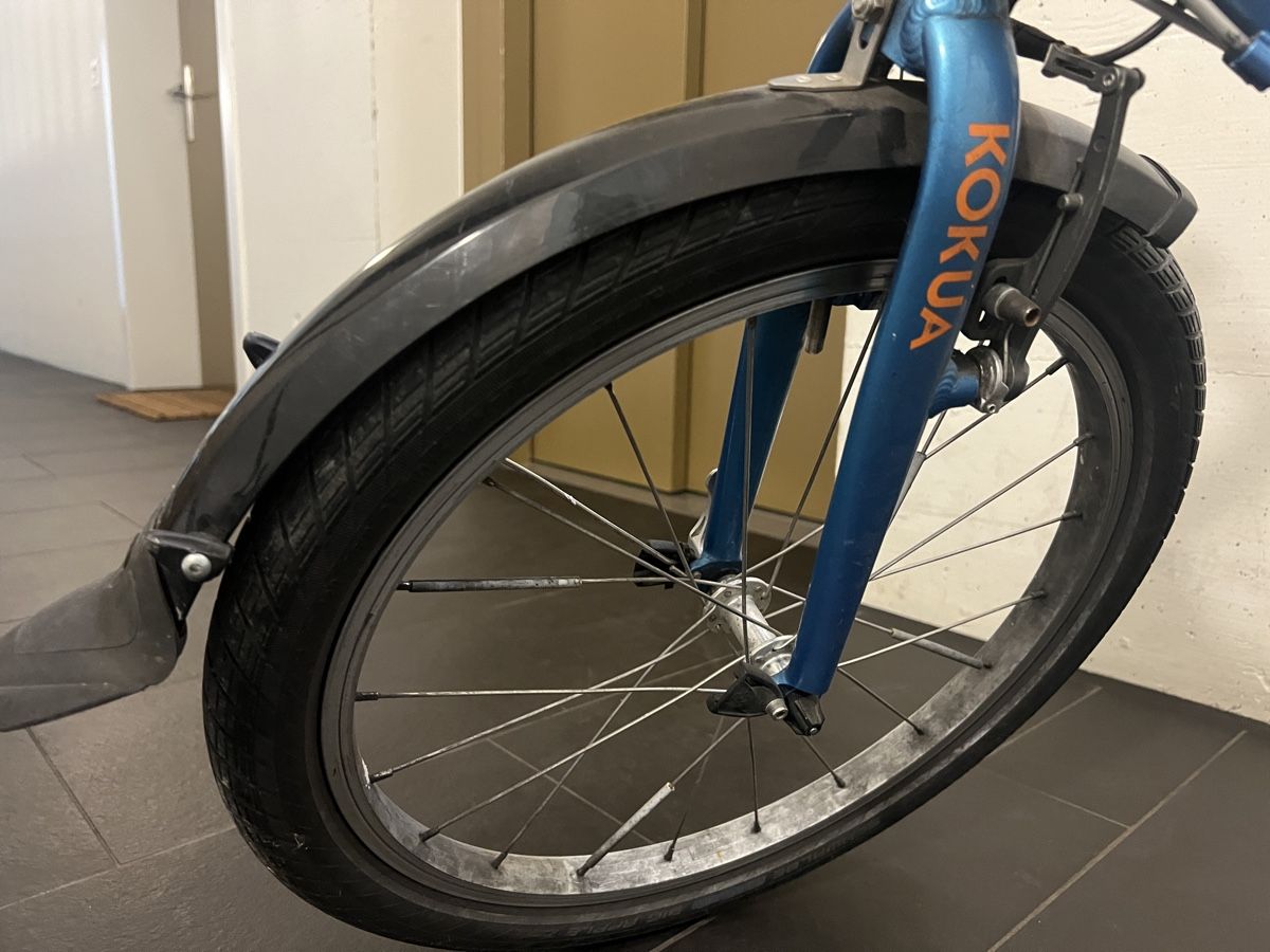 Biciclette: Kokua LiketoBike 20” – Usato da Glattpark(Opfikon) venduto da vogelbird 4