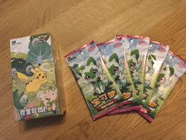 Pokémon Chinese 151 Collect Journey Display