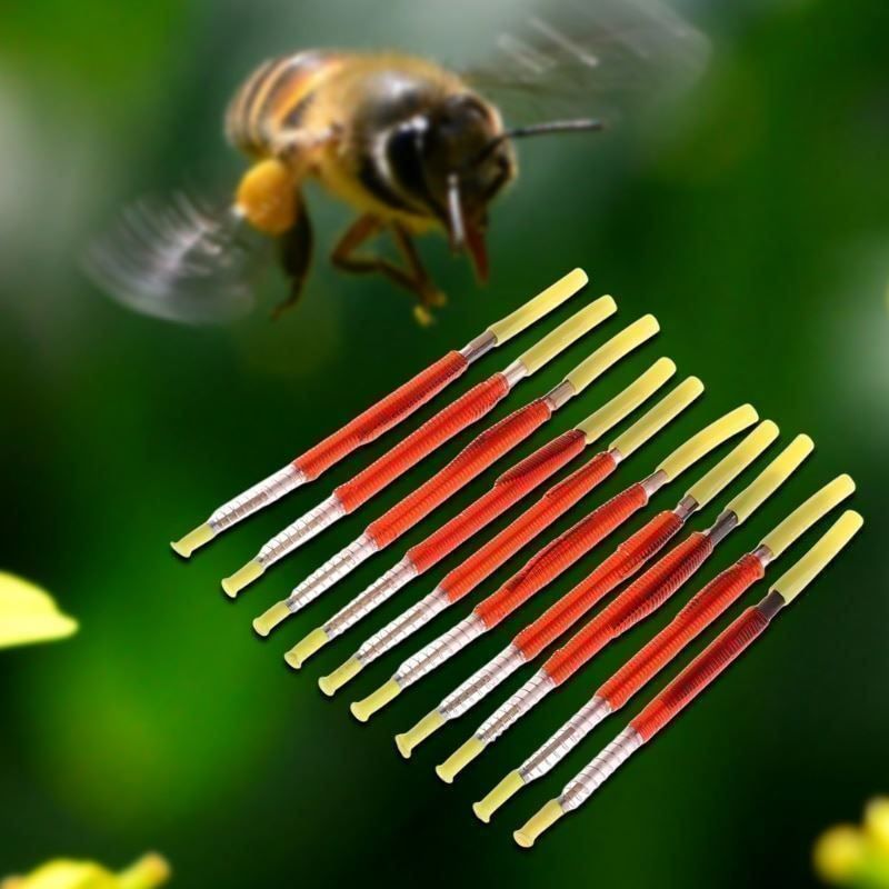 Tutti gli attrezzi: Outils de greffage pour abeilles, 10 pcs – Nuovo e nell'imballaggio originale da Delémont venduto da musica1948 6
