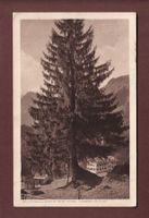 BRAUNWALD - Partie beim Hotel Niederschlacht - 1920