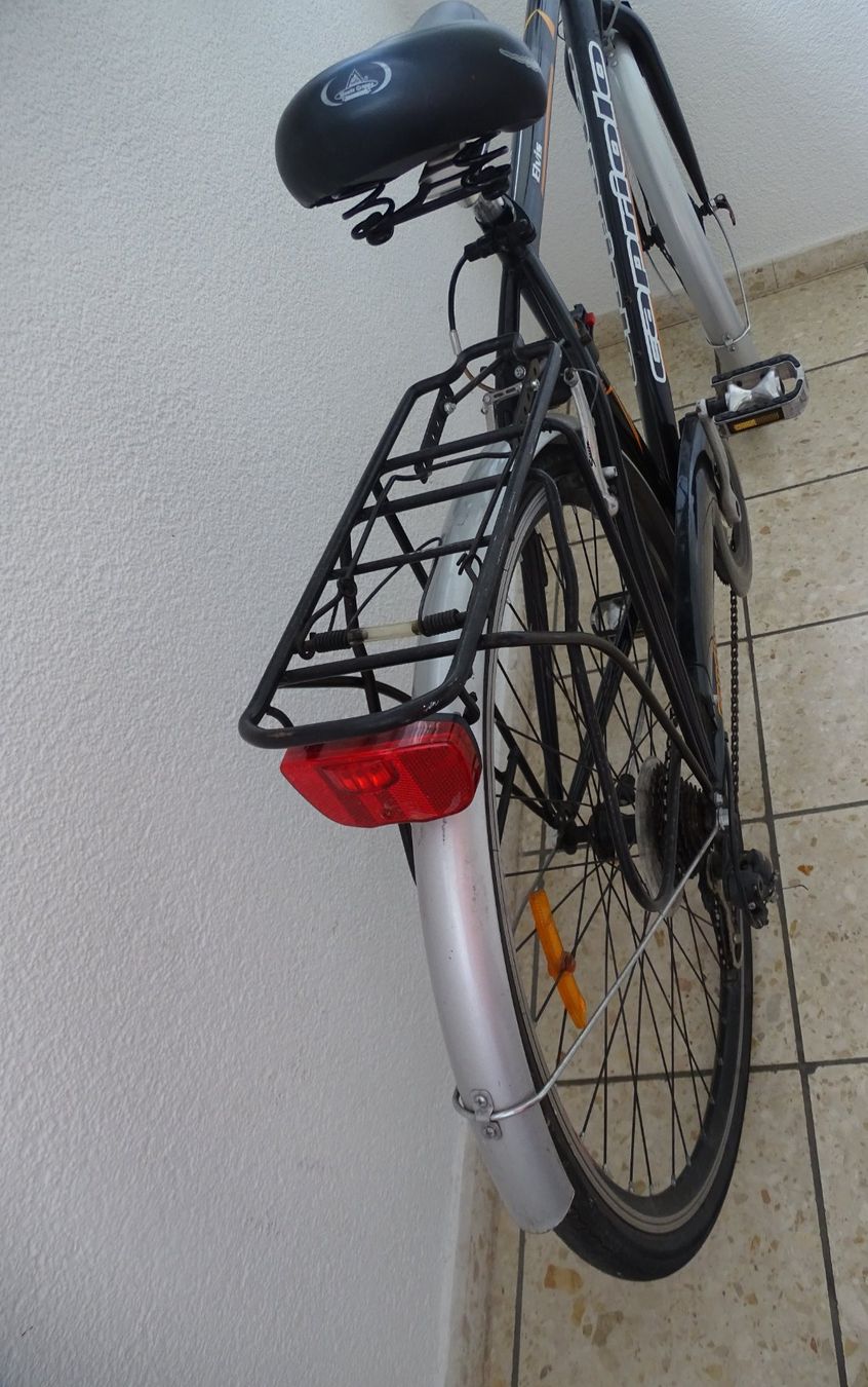 Biciclette: ****Capriolo Elvis - Herren Trakingvelo***TOP*** – Usato da Zofingen venduto da Felix459 6
