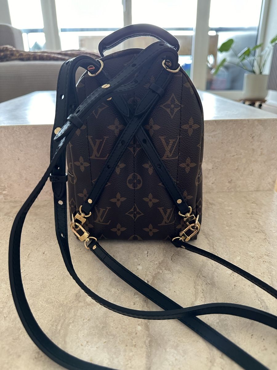 Louis Vuitton Taschen für Damen: Louis Vuitton Tasche Palm Springs Mini – Neu (gemäss Beschreibung) aus Pratteln von S.alp1 3