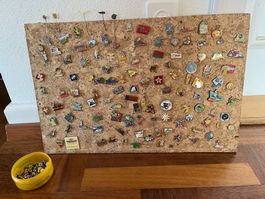 Pin