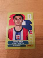 Panini WM 2026 NOR 19