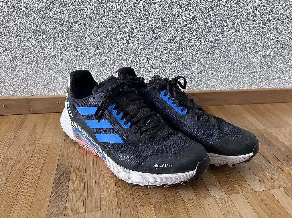 Scarpe da uomo: Adidas Terrex Agravic Flow GTX Gr. 44.5 – Usato da Zürich venduto da sidewinder81
