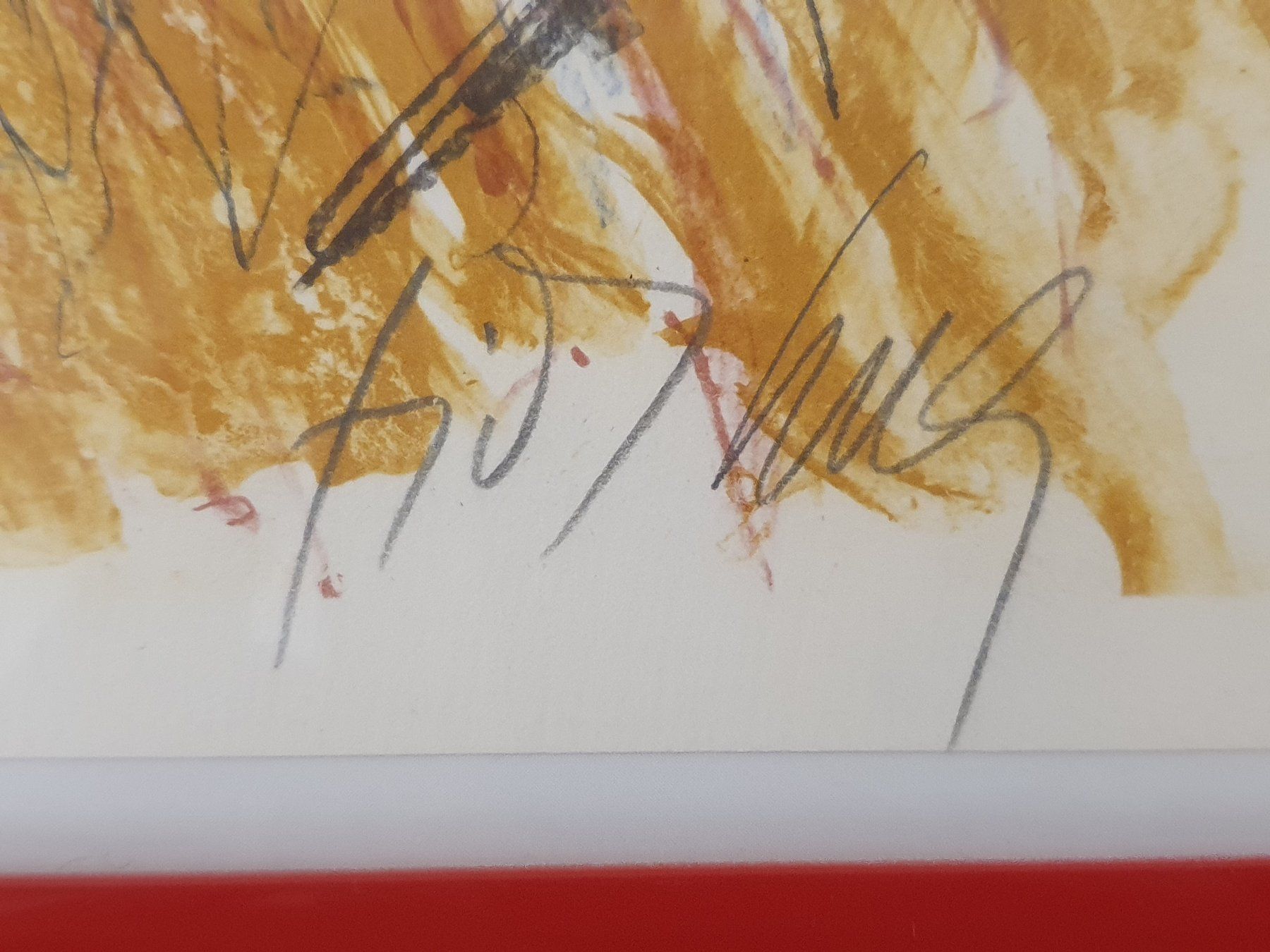 Grafiken & Lithographien: Lithographie Fritz Hug "LÖWENKOPF" - sign., dat. + nummer. – Neu (gemäss Beschreibung) aus Aegerten von taxidermo 6