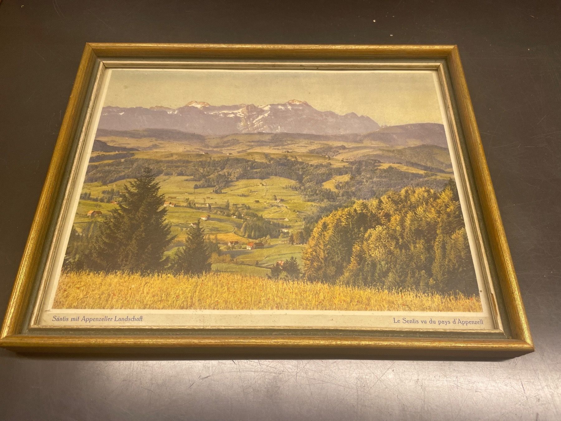 Foto & Immagini: Diverse Bilder aus Teufen AR – Usato da Bühler venduto da comaneci 1