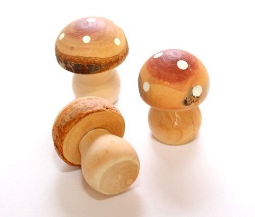Tutte le decorazioni: Holzpilz – Nuovo (secondo la descrizione) da Schlatt TG venduto da kreativ-atelier