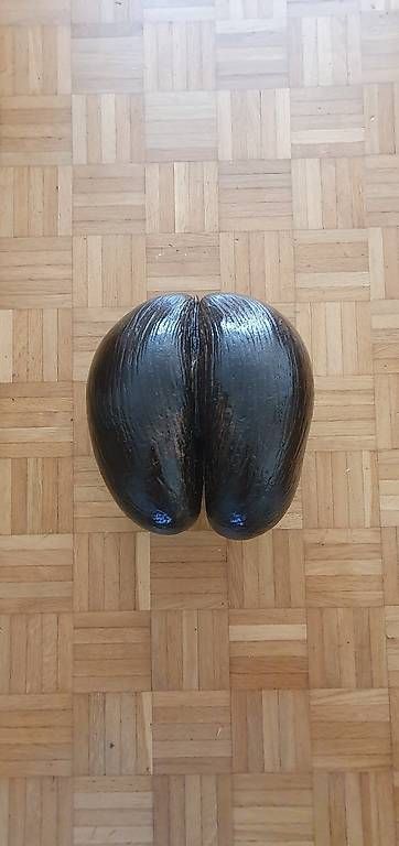 Tutte le decorazioni: Coco de Mer Special one – Usato da Horgen venduto da SfinGren 3