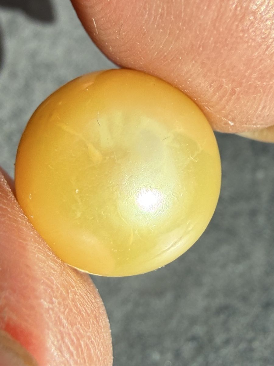 Perlen (unechte): Echt Südsee Perlen Goldener Farbe echt – Neu (gemäss Beschreibung) aus Oberhof von RealStone 7
